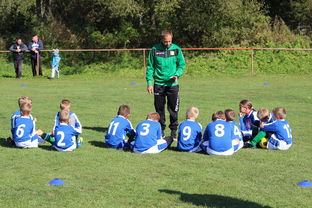 爱游戏官方论坛-中国篮球教练员战术执行能力提升路径分析,篮球教练技术